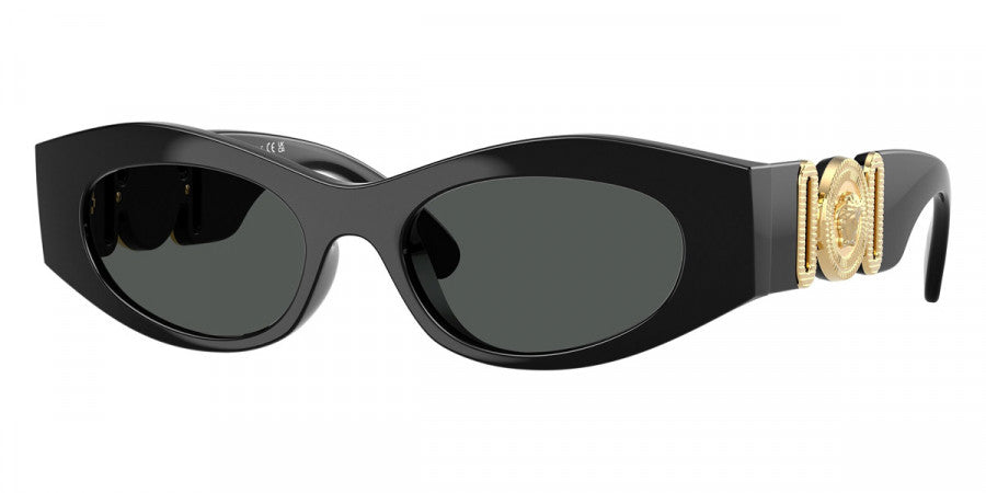 Versace VE4480U Cat Eye Sunglasses