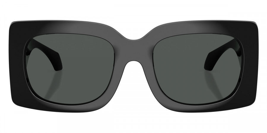 VERSACE VE4496U -VERSACE Sunglasses- Optivision