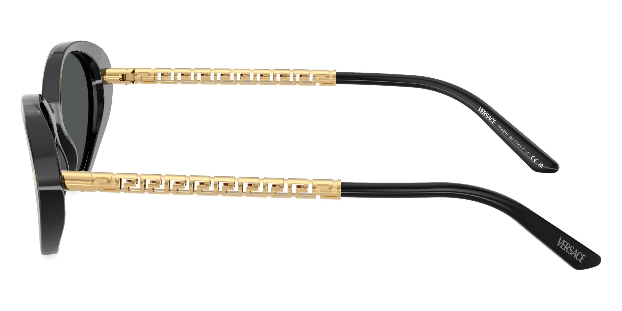 VERSACE VE4469 Medusa -VERSACE Sunglasses- Optivision