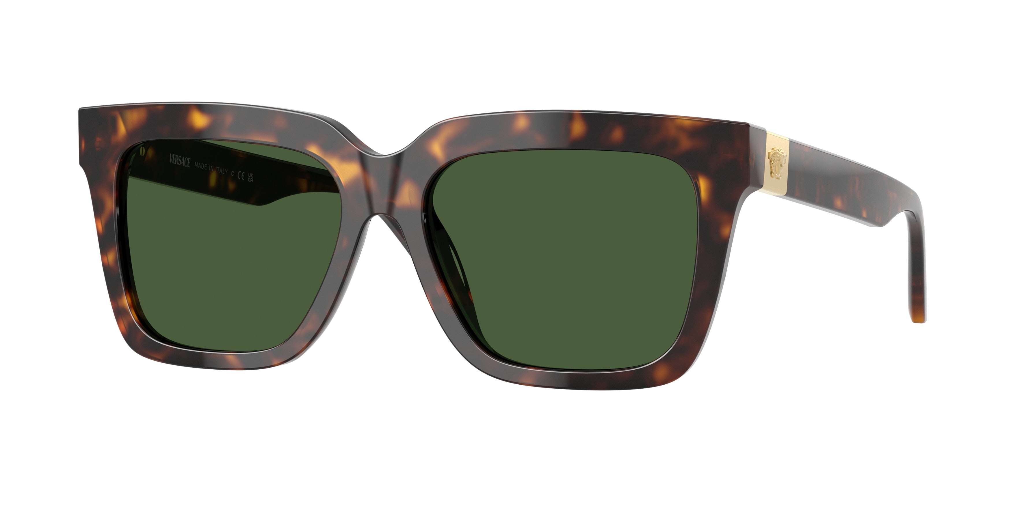 Versace VE4498 Square Sunglasses