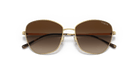 VOGUE VO4232S -VOGUE Sunglasses- Optivision