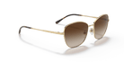 VOGUE VO4232S -VOGUE Sunglasses- Optivision
